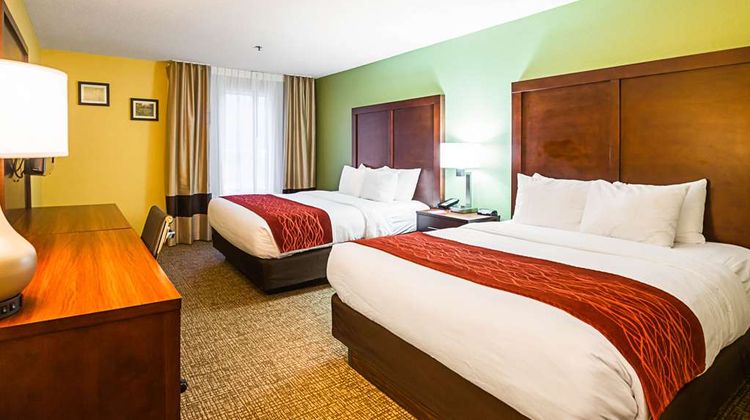 Comfort Inn Room