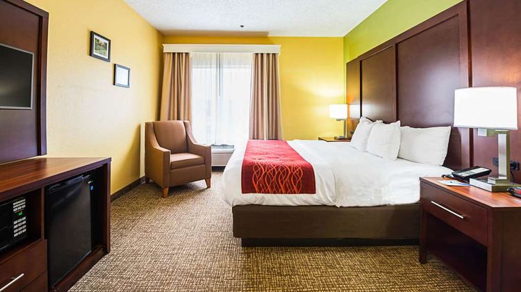 Comfort Inn Room
