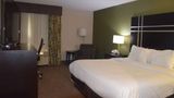 Comfort Inn & Suites Maumee/Toledo Room