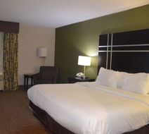 Comfort Inn & Suites Maumee/Toledo Room