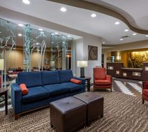 Comfort Suites Lobby