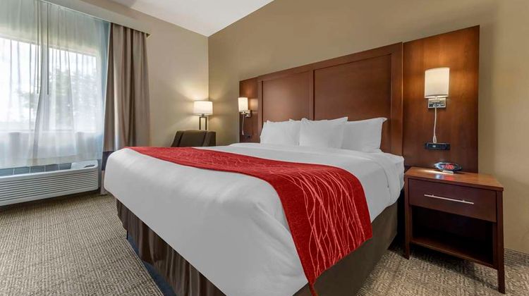 Comfort Inn & Suites Streetsboro/Kent Room