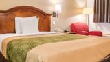 Econo Lodge Airport Room