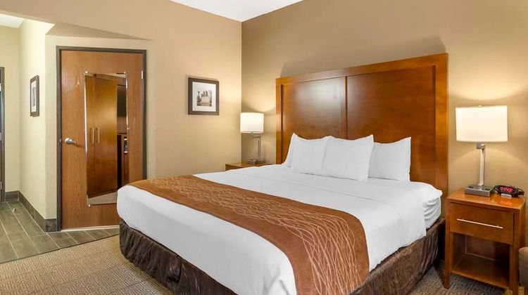 Comfort Inn Room