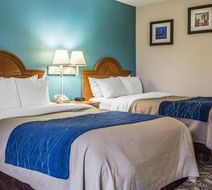 Quality Inn & Suites Circleville Room