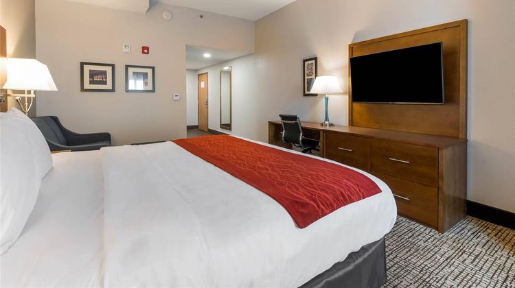 Comfort Inn Room