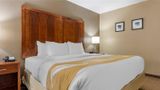 <b>Quality Inn Room</b>. Images powered by <a href="https://iceportal.shijigroup.com/" title="IcePortal" target="_blank">IcePortal</a>.