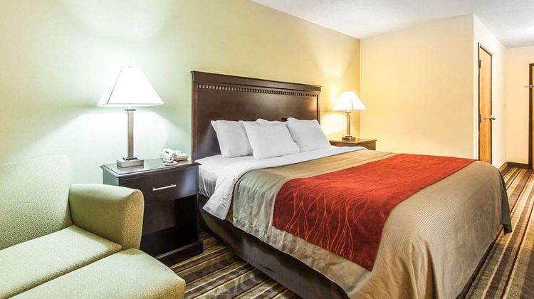 Quality Inn Room