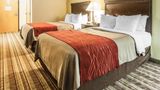 <b>Quality Inn Room</b>. Images powered by <a href="https://iceportal.shijigroup.com/" title="IcePortal" target="_blank">IcePortal</a>.
