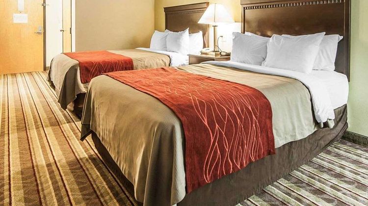 Quality Inn Room