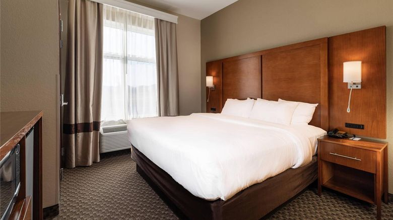 <b>Comfort Suites Troy I75 Room</b>. Images powered by <a href="https://iceportal.shijigroup.com/" title="IcePortal" target="_blank">IcePortal</a>.