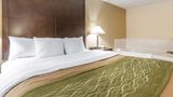Quality Inn & Suites Portsmouth Room