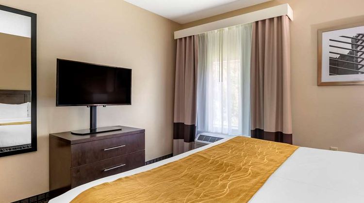 Comfort Inn & Suites Suite