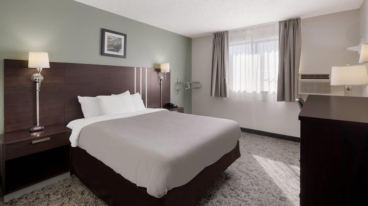 Quality Inn Room