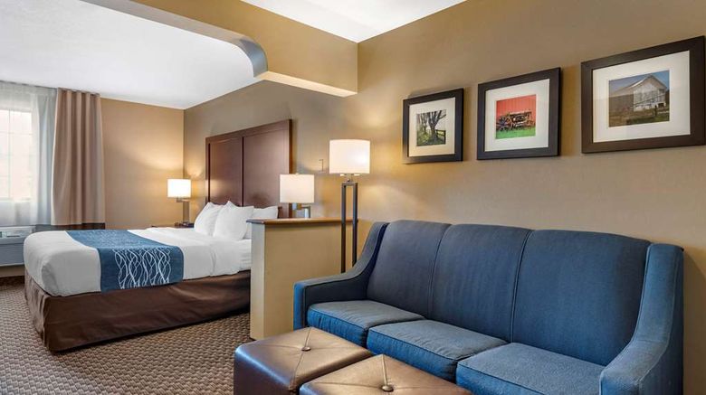 <b>Comfort Inn & Suites Napoleon Room</b>. Images powered by <a href="https://iceportal.shijigroup.com/" title="IcePortal" target="_blank">IcePortal</a>.