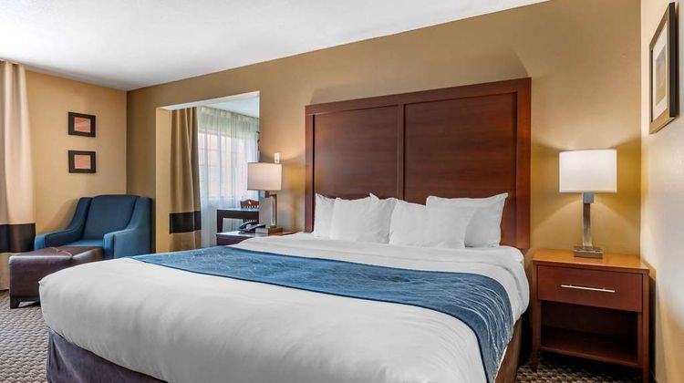 Comfort Inn & Suites Napoleon Suite
