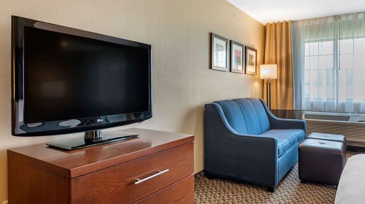 Comfort Inn & Suites Napoleon Suite