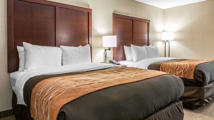 Comfort Inn Blue Ash Room