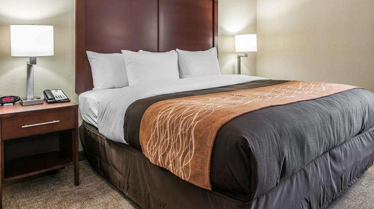 Comfort Inn Blue Ash Room