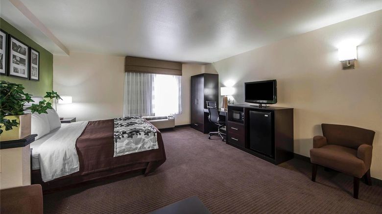 <b>Sleep Inn & Suites Room</b>. Images powered by <a href="https://iceportal.shijigroup.com/" title="IcePortal" target="_blank">IcePortal</a>.