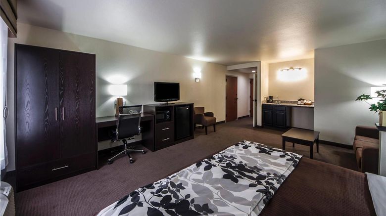 <b>Sleep Inn & Suites Other</b>. Images powered by <a href="https://iceportal.shijigroup.com/" title="IcePortal" target="_blank">IcePortal</a>.