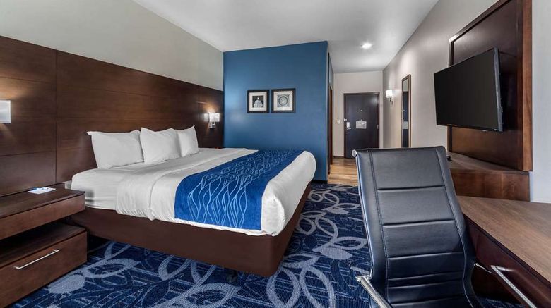 <b>Comfort Inn & Suites Oklahoma City South I-35 Room</b>. Images powered by <a href="https://iceportal.shijigroup.com/" title="IcePortal" target="_blank">IcePortal</a>.