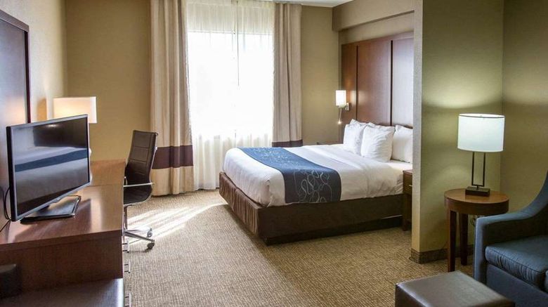 <b>Comfort Suites Idabel Suite</b>. Images powered by <a href="https://iceportal.shijigroup.com/" title="IcePortal" target="_blank">IcePortal</a>.
