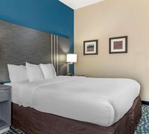 Comfort Inn & Suites Room