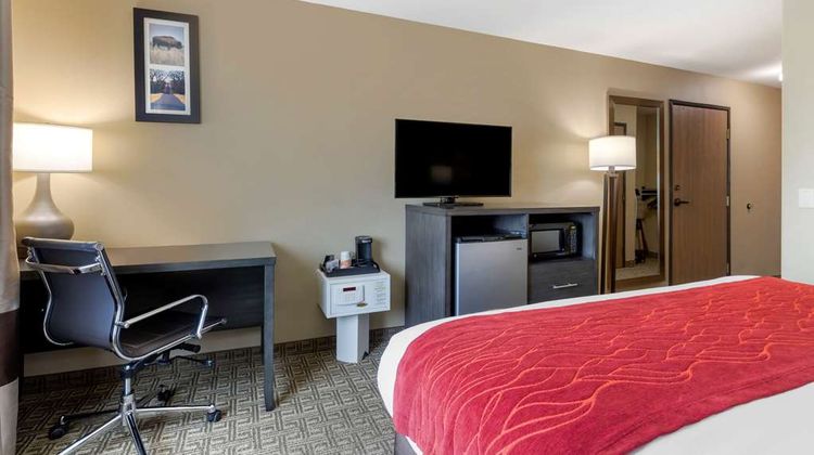 Comfort Inn & Suites Room