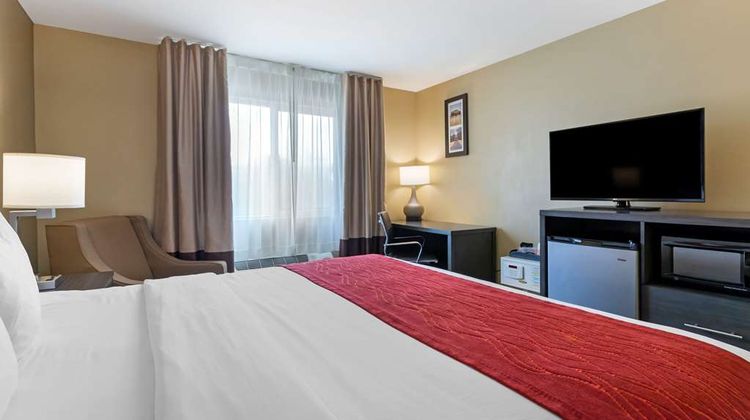 Comfort Inn & Suites Room