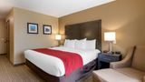 <b>Comfort Inn & Suites Room</b>. Images powered by <a href="https://iceportal.shijigroup.com/" title="IcePortal" target="_blank">IcePortal</a>.