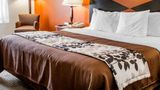 <b>Sleep Inn & Suites Room</b>. Images powered by <a href="https://iceportal.shijigroup.com/" title="IcePortal" target="_blank">IcePortal</a>.