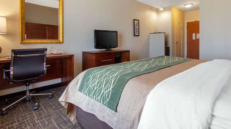 Comfort Inn & Suites Room