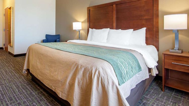 Comfort Inn & Suites Room