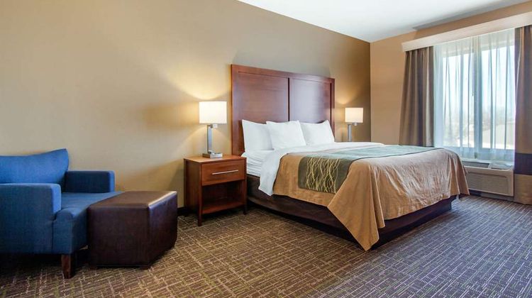 Comfort Inn & Suites Room