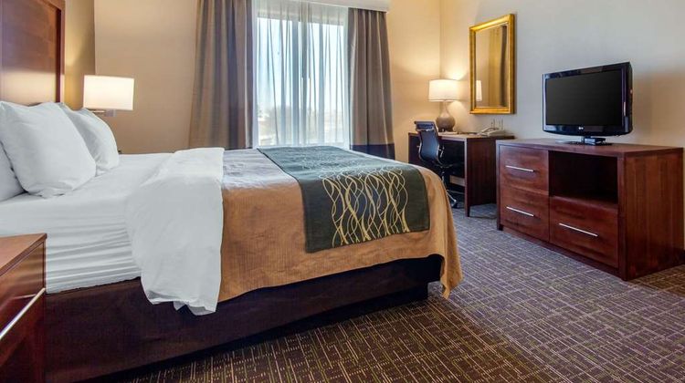 Comfort Inn & Suites Room