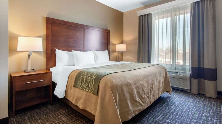 Comfort Inn & Suites Suite