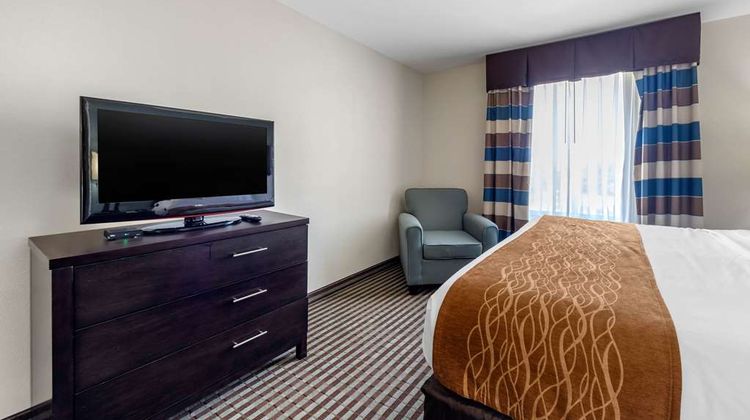 Comfort Inn & Suites Suite
