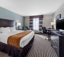 Comfort Inn & Suites Room