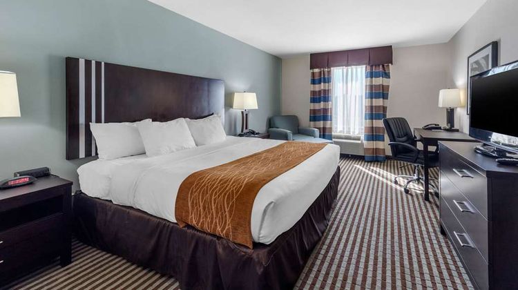 Comfort Inn & Suites Room