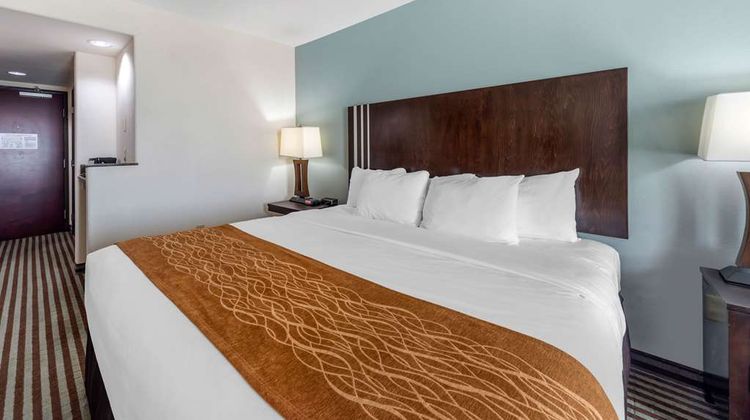 Comfort Inn & Suites Room