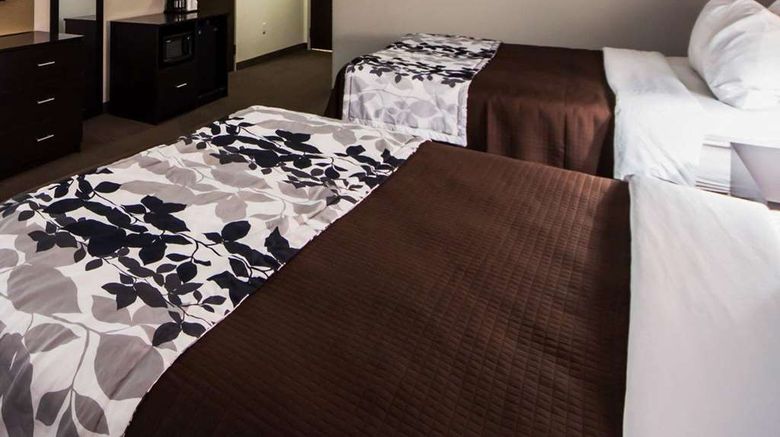 <b>Sleep Inn and Suites Elk City Route 66 Room</b>. Images powered by <a href="https://iceportal.shijigroup.com/" title="IcePortal" target="_blank">IcePortal</a>.