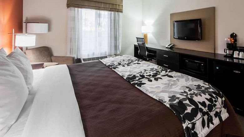 <b>Sleep Inn and Suites Elk City Route 66 Room</b>. Images powered by <a href="https://iceportal.shijigroup.com/" title="IcePortal" target="_blank">IcePortal</a>.
