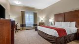 <b>Comfort Inn and Suites Glenpool Room</b>. Images powered by <a href="https://iceportal.shijigroup.com/" title="IcePortal" target="_blank">IcePortal</a>.