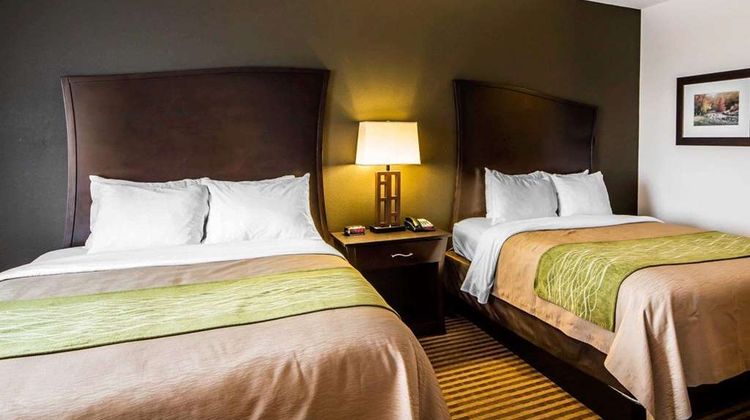 Comfort Inn and Suites Alva Suite