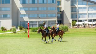 Sheraton Greenville Polo & Resort