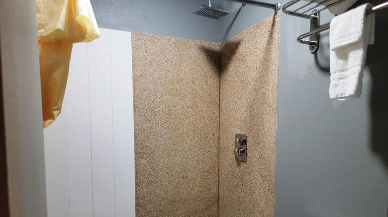 <b>Econo Lodge Mena Queen Wilhelmina Room</b>. Images powered by <a href="https://www.leonardoworldwide.com/" title="Leonardo Worldwide" target="_blank">Leonardo</a>.