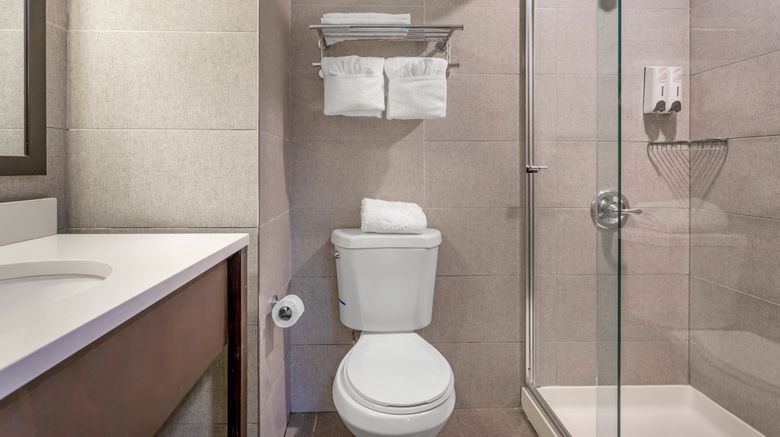 <b>Red Roof PLUS+ Brooklyn - 3rd Ave Room</b>. Images powered by <a href="https://www.leonardoworldwide.com/" title="Leonardo Worldwide" target="_blank">Leonardo</a>.
