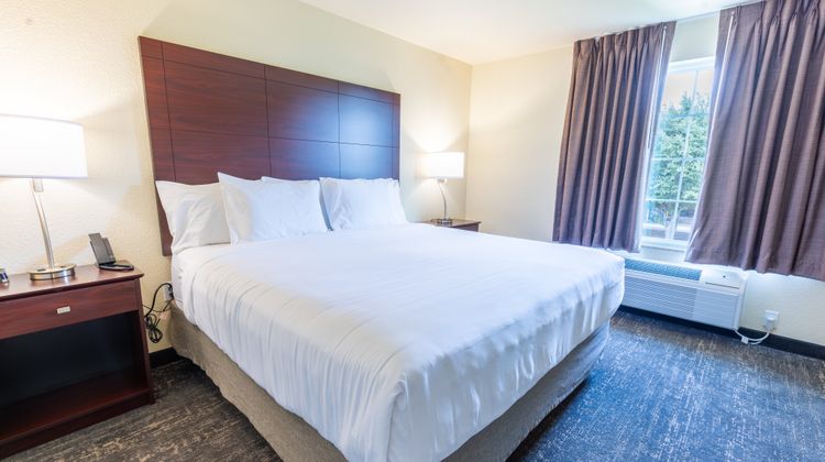 Cobblestone Inn & Suites-Winters Suite