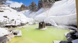 <b>Manza Kogen Hotel Spa</b>. Images powered by <a href="https://www.leonardoworldwide.com/" title="Leonardo Worldwide" target="_blank">Leonardo</a>.